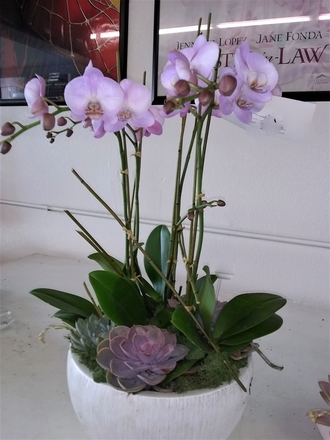 main photo of Fresh Floral Lavender Orchids and Succulents