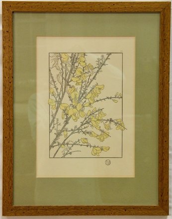 main photo of Botanical Print - Bloom