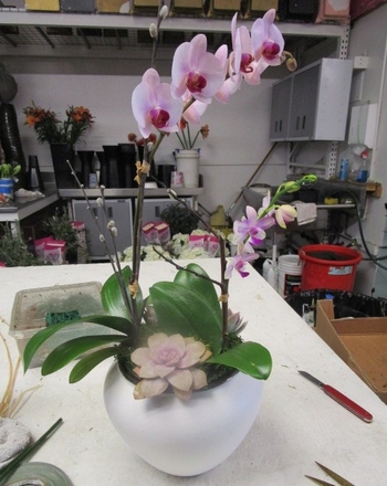 main photo of Fresh Floral Lavender Orchid Planter