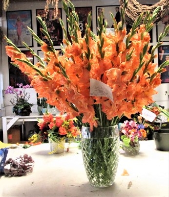 main photo of Fresh Floral Traditional style Gladiolas