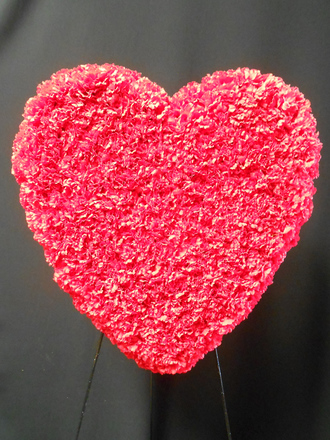 main photo of Red Carnation Solid Heart