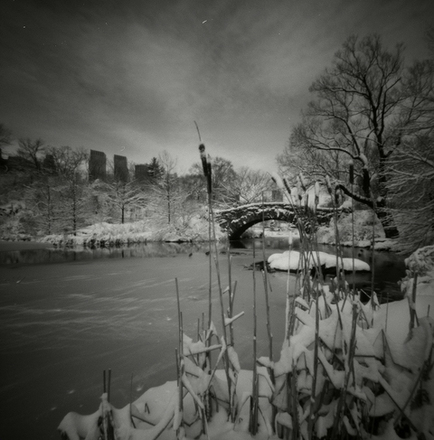 main photo of KILSTE-Central Park winter bridge DF