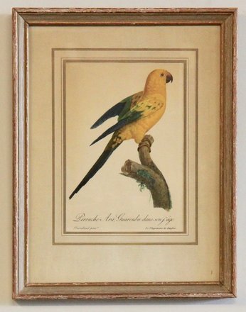 main photo of Bird Print II - Yellow Parrot