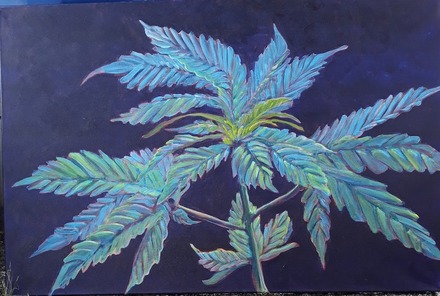 main photo of Cannabis Plant Painting