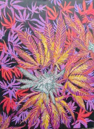main photo of Purple Haze Cannabis