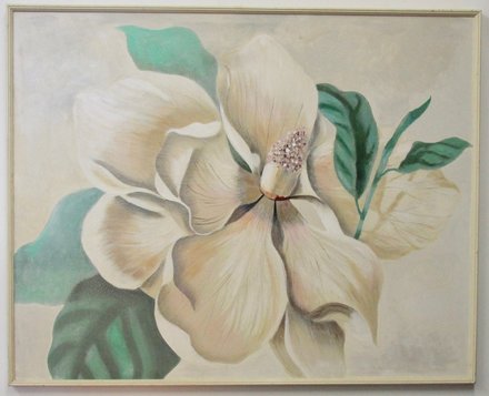 main photo of White Orchid