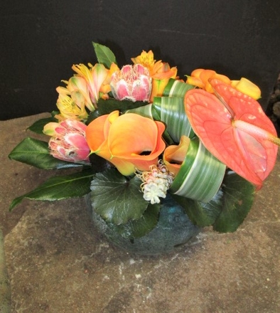 main photo of Fresh Floral Sherbet Color Tropicals