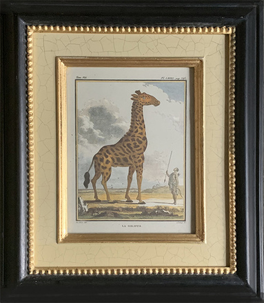 main photo of MISART-La Giraffe