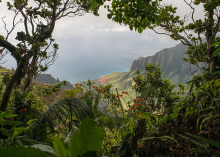 main photo of GRAKRI-Kalalau Lookout Kauai DF