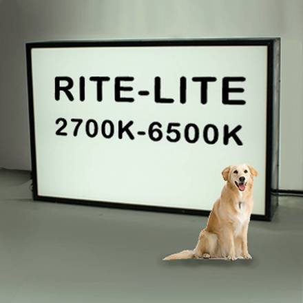 main photo of Rite-Lite Lightbox
