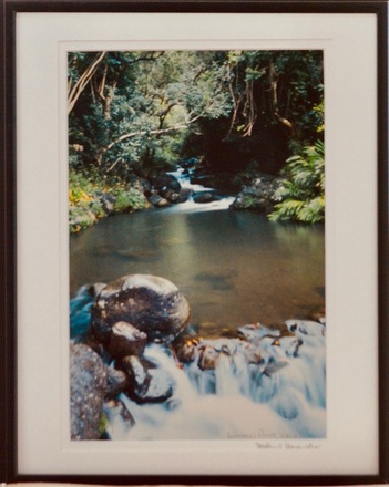 main photo of Tropical River Landscape Photo