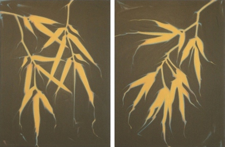 main photo of Contemporary Bamboo Diptych