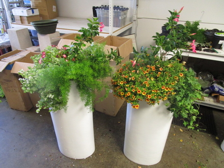 main photo of Fresh Floral Tall Contemporary Planters