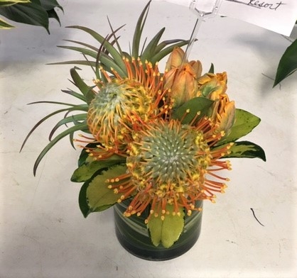 main photo of Fresh Floral Protea Cocktail Table Arrangement