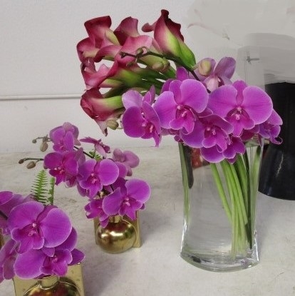 main photo of Fresh Floral Orchids for a Bar