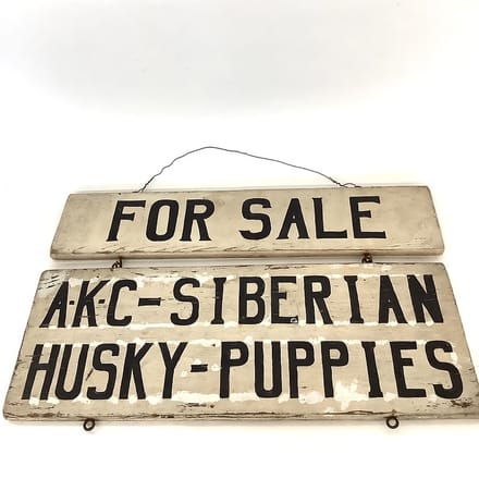 main photo of Puppies Sign