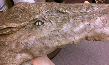 item photo 2