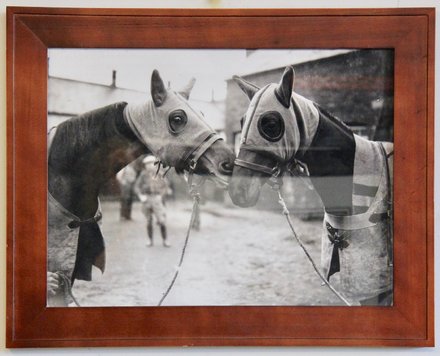 main photo of Two Horses