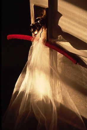 main photo of Veil with Red Hanger
