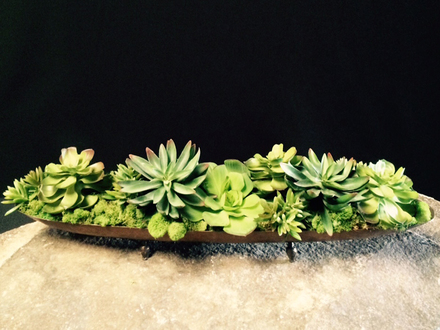 main photo of Succulent Oval Trays