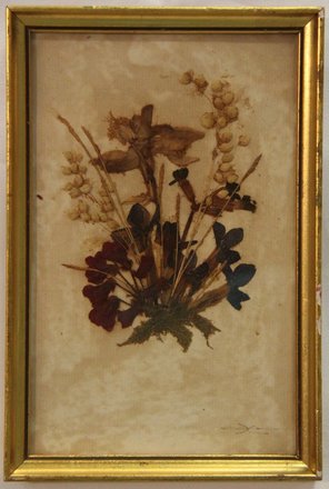 main photo of Austrian Pressed Flower