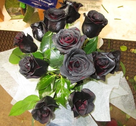 main photo of Fresh Floral Black Rose Bouquet