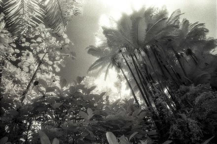 main photo of KIMVAL-Hawaii Infrared 6 DF