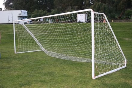 main photo of Professional Soccer Goal and Net