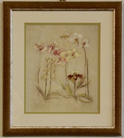 main photo of Orchids
