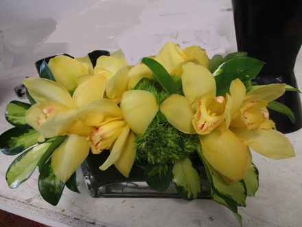 main photo of Fresh Floral Low Oblong Orchid Arrangement