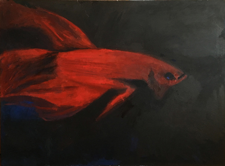 main photo of PODJON-Betta (Red Fish) DF