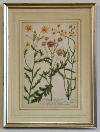 main photo of Silver Framed Wildflowers I