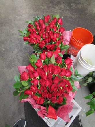main photo of Fresh Floral Extra Large Red Rose Bouquet