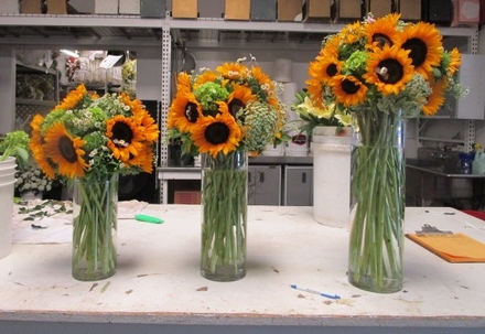main photo of Fresh Floral Sunflower Trio