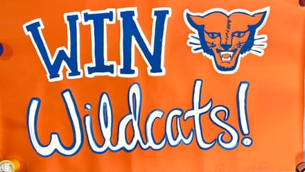 main photo of Win Wildcats banner