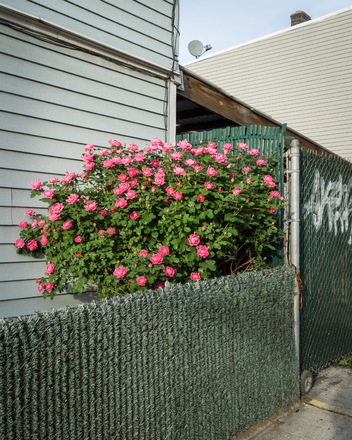 main photo of GRAKRI-Flowers Long Island City DF