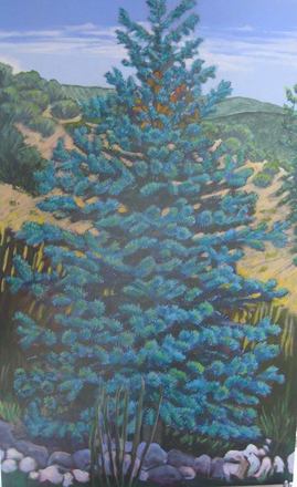 main photo of Spruce Tree Painting