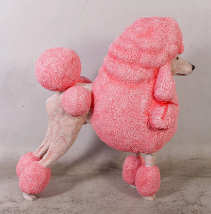 item photo 4