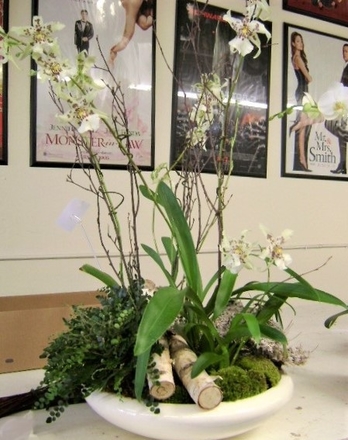 main photo of Fresh Floral Orchid Planter Woodland