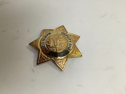 main photo of Gold 7 Point Star Badge