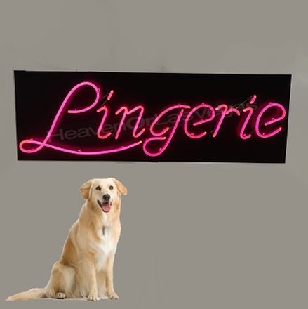 main photo of LINGERIE