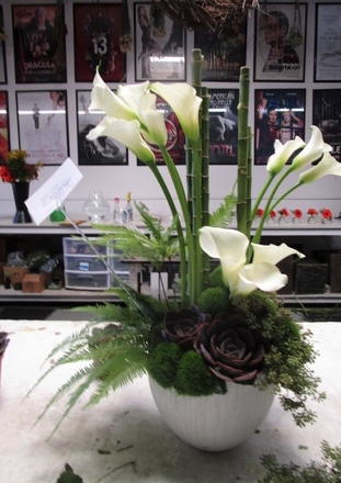 main photo of Fresh Floral Tall Modern Calla Arrangement
