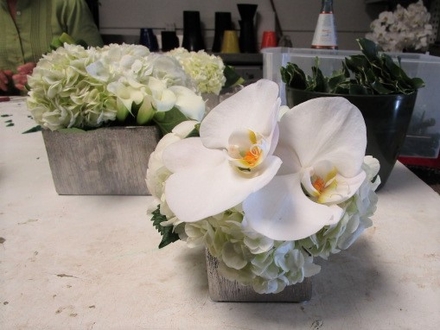 main photo of Fresh Floral Small Orchid Table Arrangements