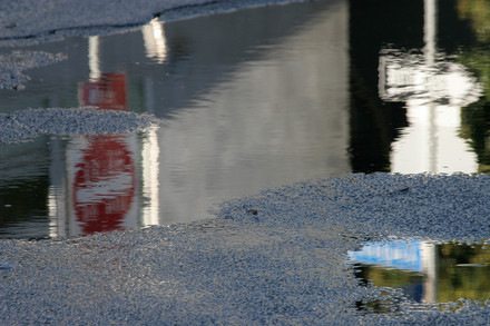 main photo of Untitled Street Reflection