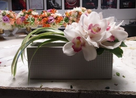 main photo of Fresh Floral Asymmetrical Orchids
