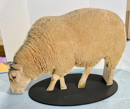 main photo of Sheep cutout