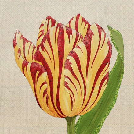 main photo of Fire Tulip