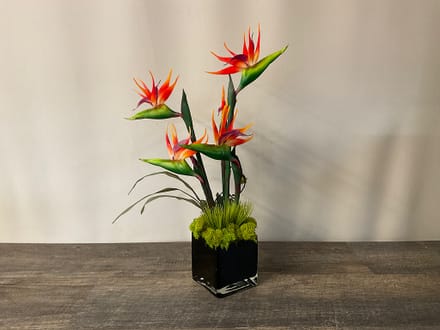 main photo of Birds of Paradise in Black Glass Cubes