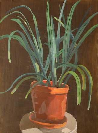 main photo of MURBED-House Plant DF