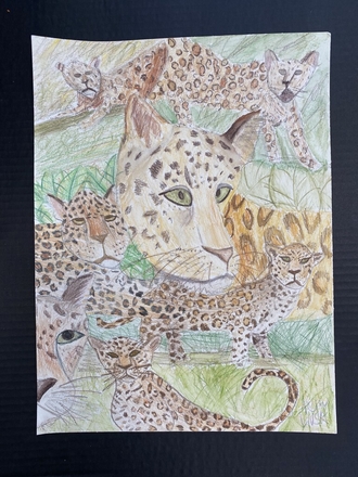 main photo of Cheetah Teen Drawing